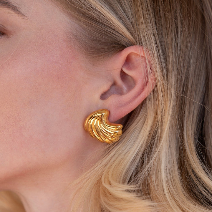 Golden shell earrings